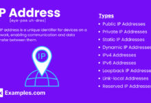 90.150.204 Web: IP Address Used as a Web Service