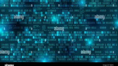 010100tsc: 010100TSC: A Digital Code for Professional and Tech Solutions