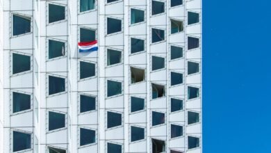 chile s flag domain significance
