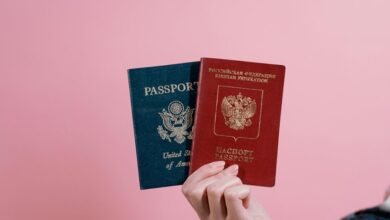 collier grimm s identity exploration