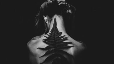 fairy wings symbolize freedom