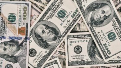jack doherty s 2024 net worth