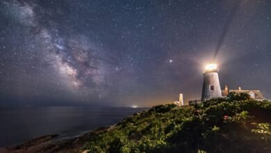 stars 895 detailed overview guide