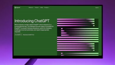 streaming platform overview provided