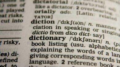 understanding wdyll in texting