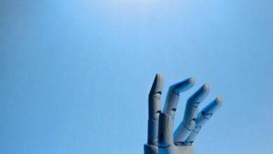 vidnoz ai s capabilities showcased