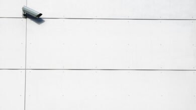 telecommunications oversight contact numbers