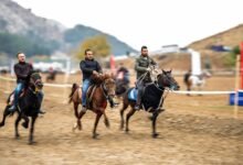 competitive landscape analysis study