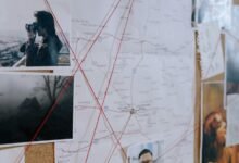 sector level analysis findings